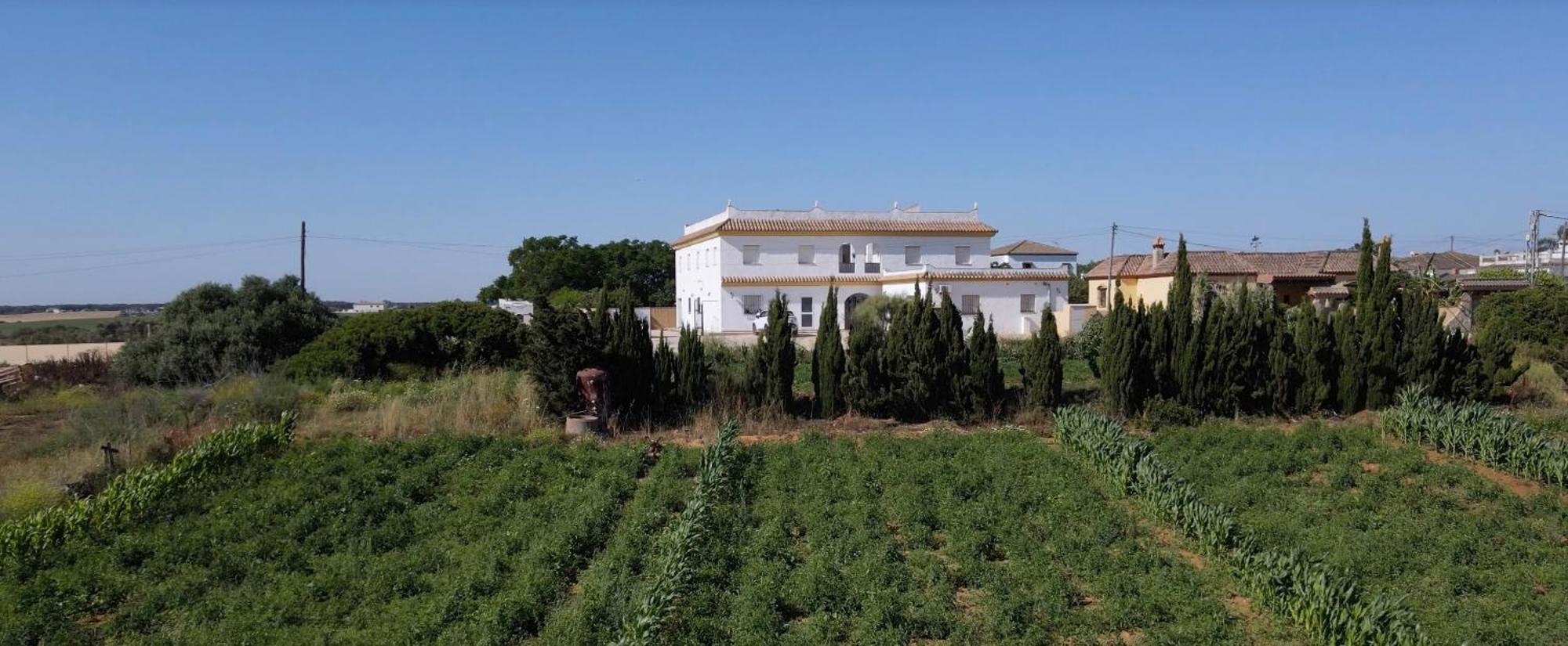 Alojamiento Rural Al'Mare Conil De La Frontera Extérieur photo