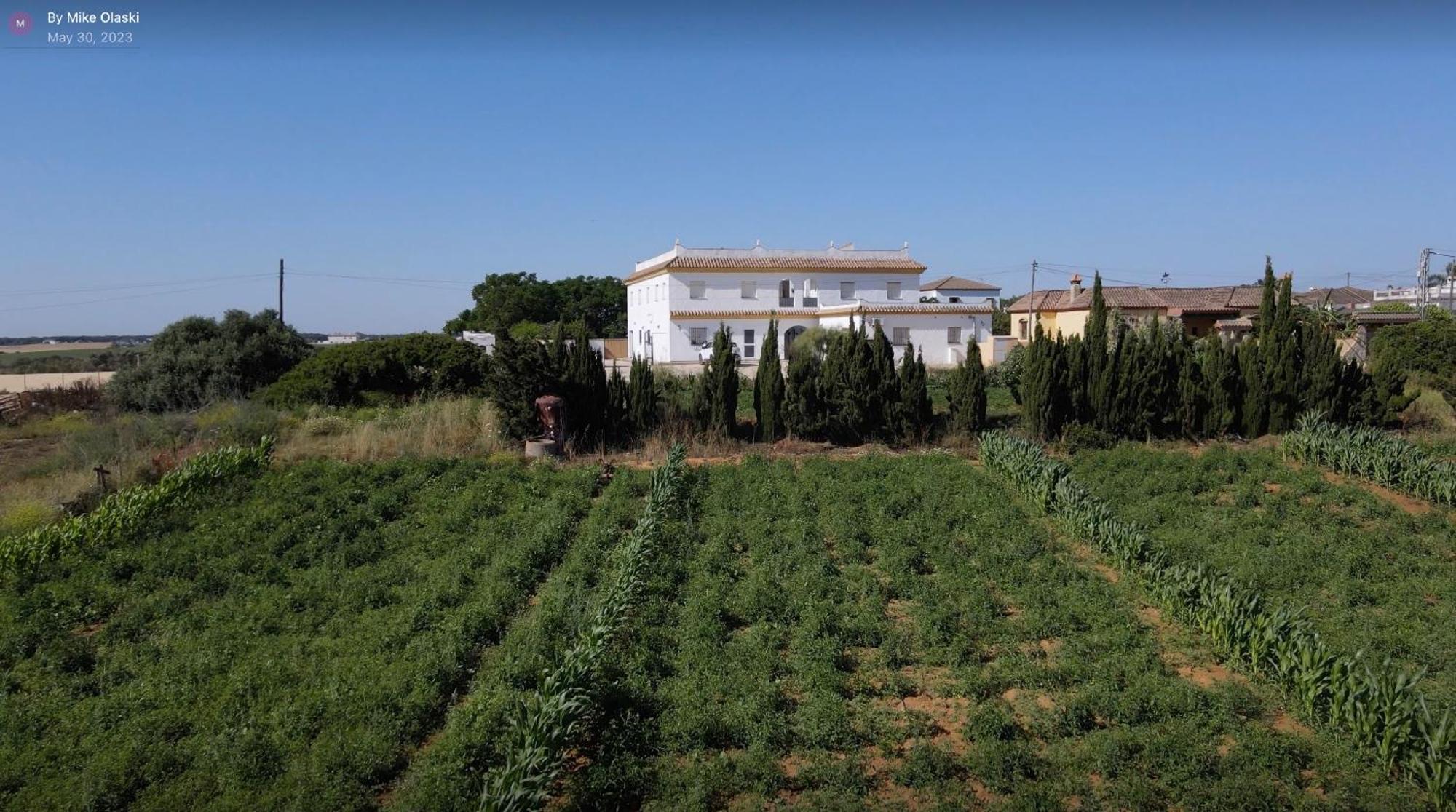 Alojamiento Rural Al'Mare Conil De La Frontera Extérieur photo